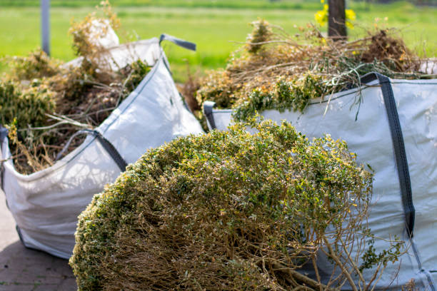 Best Electronics Removal Services  in Grant City, MO