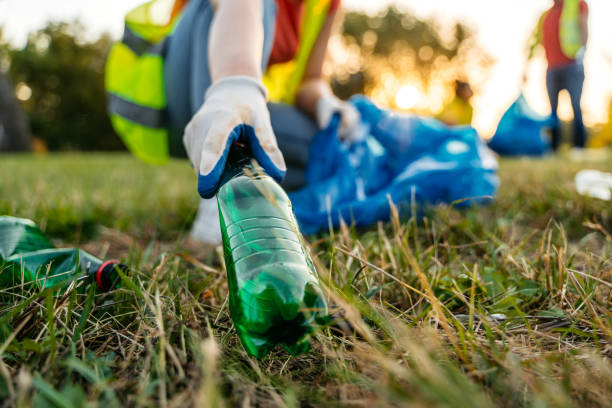 Yard Cleanup Services in Grant City, MO